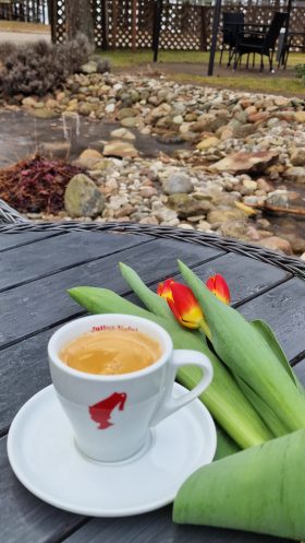 Poilsiavietės Banga fotografija