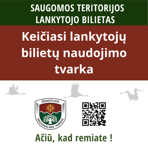 Tekstą iliustruojanti nuotrauka