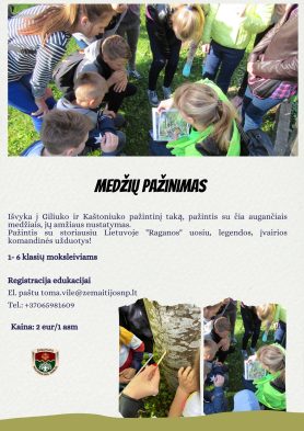 Edukaciją iliustruojanti nuotrauka