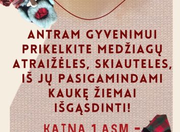 Edukacinio užsiėmimo Užgavėnių kaukių gamyba skelbimas