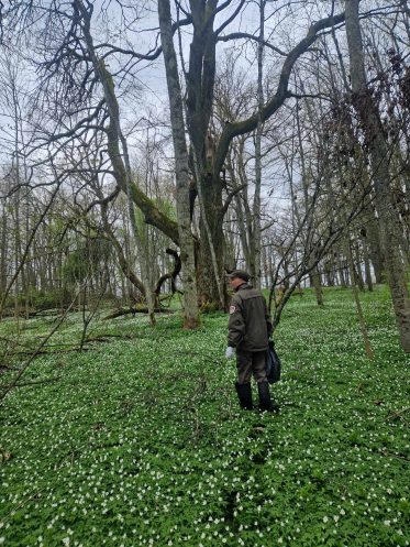 Žmogus su šiukšlių maišu