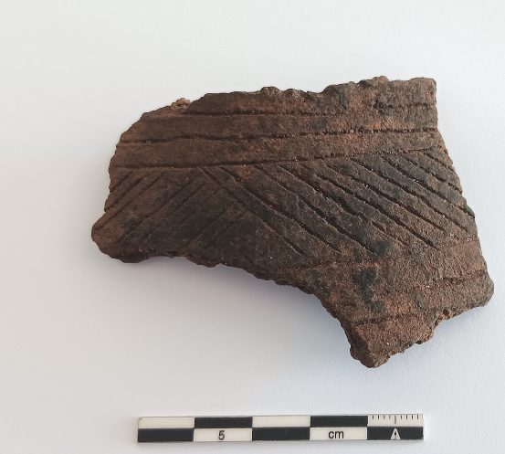 Virvelinės keramikos kultūrai priskiriama ornamentuota puodo šukė