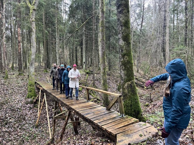 Žmonės, miškas, eina mediniu tiltu