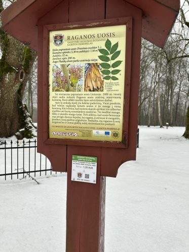 Iliustracinė nuotrauka