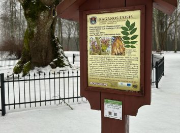 Iliustracinė nuotrauka