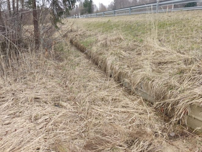 Žole užžėlę atitvarai, iliustracinė nuotrauka