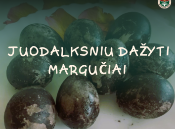 Iliustracinė nuotrauka