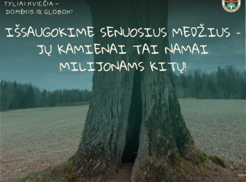 medis