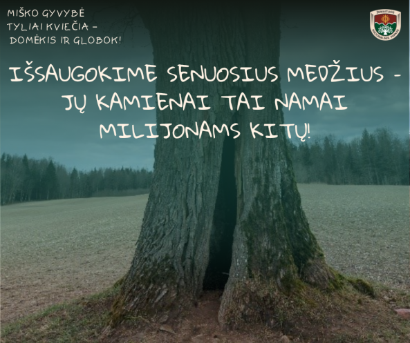 medis