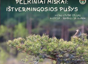Pušis, medžiai, paukštis