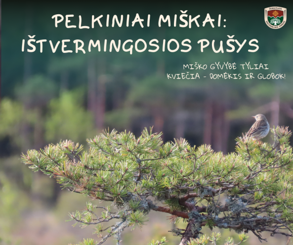 Pušis, medžiai, paukštis