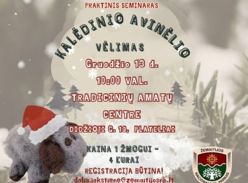 iliustracinis vaizdas
